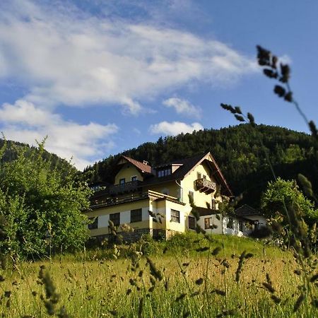 Haus Seebach Lunz am See Exterior photo