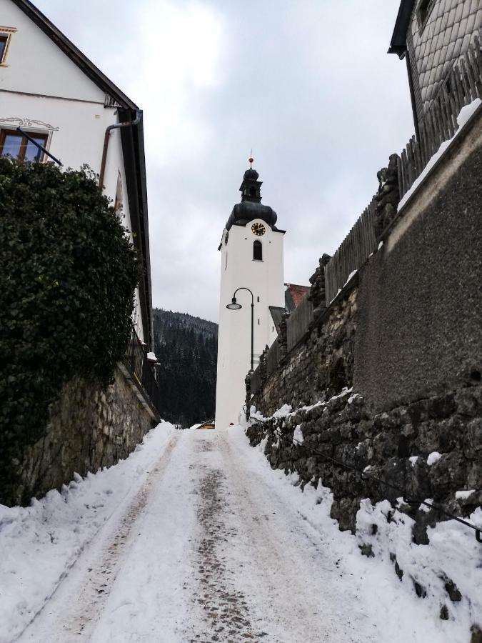 Haus Seebach Lunz am See Exterior photo