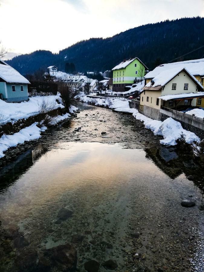 Haus Seebach Lunz am See Exterior photo